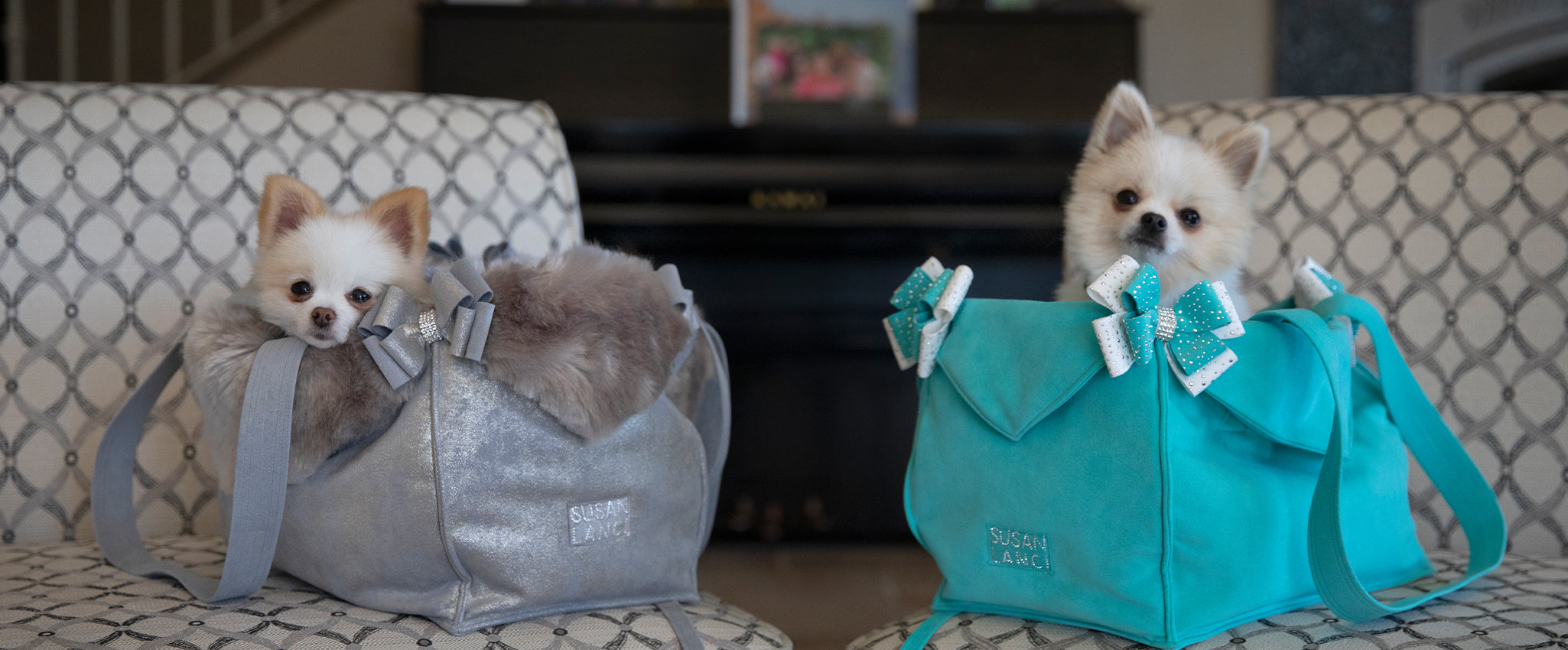 Puppy Bag Carriers & Dog Carrier Totes | Susan Lanci Designs