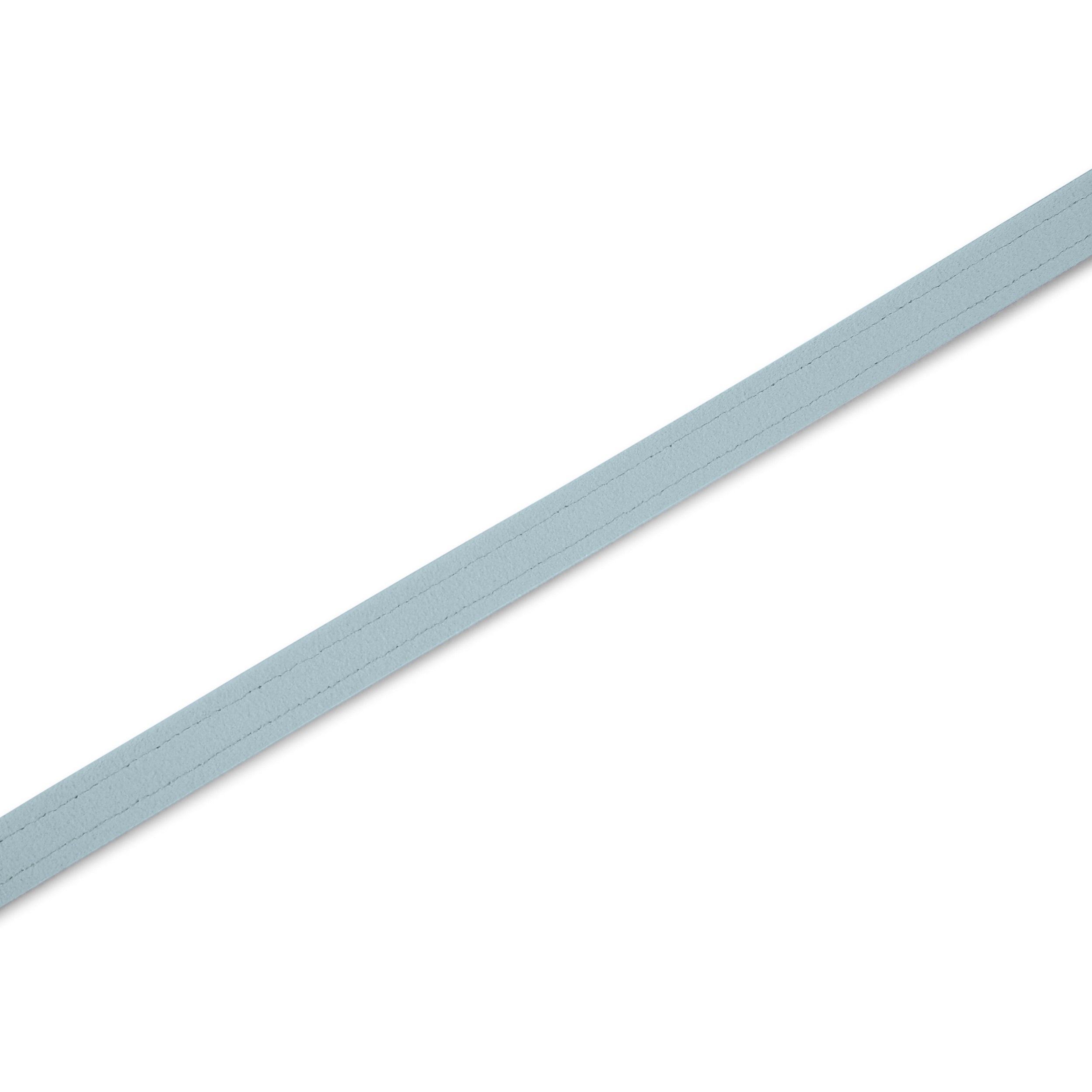 Puppy Blue Plain Leash | Susan Lanci Designs