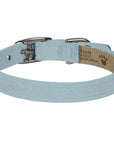 Puppy Blue Collar
