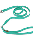 Matching Plain Leash