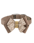 Baby Cheetah with Gold Giltmore Double Nouveau Bow Collar