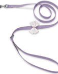 Polka Dot Nouveau Bow With Pink Giltmore Leash