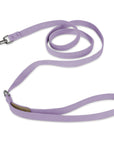 Matching Plain Leash
