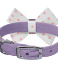 Polka Dot Nouveau Bow With Pink Giltmore Collar