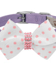 Polka Dot Nouveau Bow With Pink Giltmore Collar