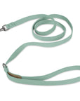 Matching Plain Leash