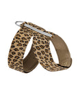 Cheetah 3 Row Pearl Giltmore Tinkie Harness