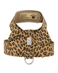 Cheetah Pearl Giltmore Nouveau Bow Tinkie Harness