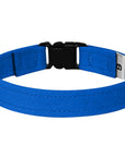 1/2" Breakaway Cat Collar