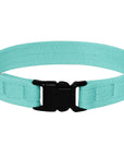 1/2" Breakaway Cat Collar