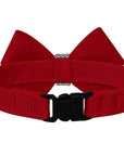 Nouveau Bow 1/2" Breakaway Cat Collar