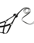Nouveau Bow Step N Go Leash Harness