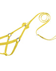 Nouveau Bow Step N Go Leash Harness