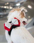 Minnie Tinkie Harness