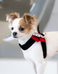 Minnie Tinkie Harness