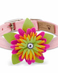 Island Flower Collar