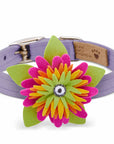 Island Flower Collar