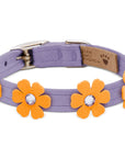 Pretty Petunia Flower Collar