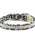 Cheetah Couture 2 Row Giltmore Collar