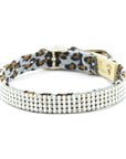Cheetah Couture 4 Row Giltmore Collar