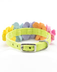 Rainbow Tinkie's Garden Flower Collar