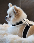 Polka Dot Nouveau Bow Tinkie Harness with White Trim