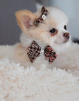 Chocolate Glen Houndstooth Nouveau Bow Collar