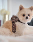 Chocolate Glen Houndstooth Nouveau Bow Tinkie Harness