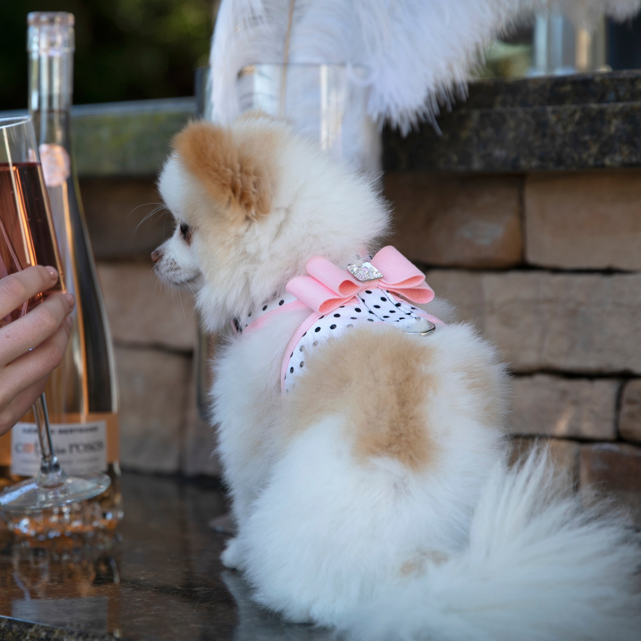 Puppy Pink Big Bow Tinkie Dog Harness with Puppy Pink Trim