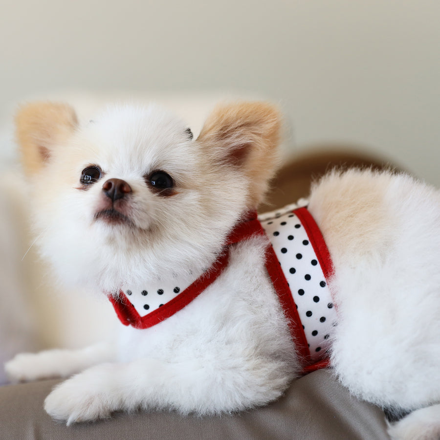 Red Big Bow Tinkie Harness with Red Trim
