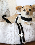 Polka Dot Nouveau Bow Tinkie Harness with White Trim