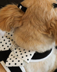 Polka Dot Nouveau Bow Tinkie Harness with White Trim