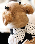 Polka Dot Nouveau Bow Tinkie Harness with White Trim