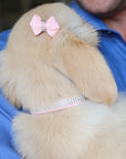 3 Row Giltmore Collar