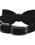 Aurora Borealis Giltmore Bow Tie 1/2" Collar