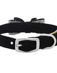 Crystal Stellar Big Bow Collar