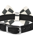 Windsor Check Nouveau Bow Collar