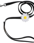 Large Daisy Leash