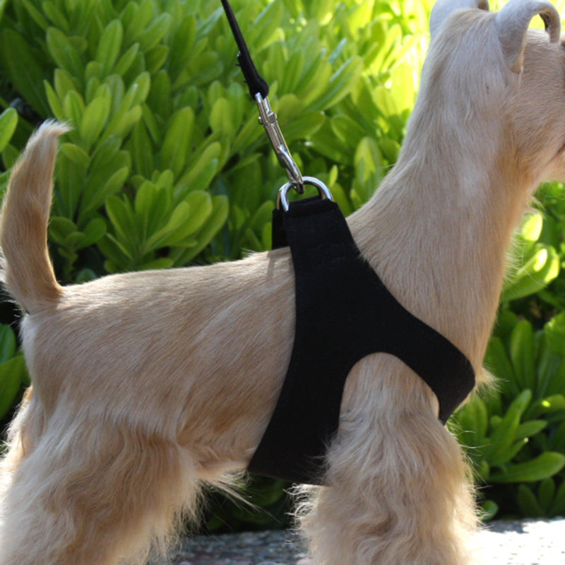 Dog Harness DIY Sewing Pattern Dog Chest Harness - China Dog