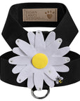 Large Daisy Tinkie Harness