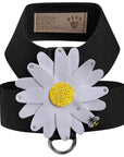 Large Daisy with AB Crystal Stellar Center Tinkie Harness