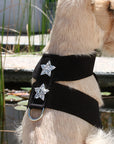 Rock Star Tinkie Harness