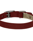 Burgundy Collar