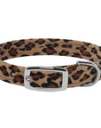Cheetah Couture 4 Row Giltmore Collar