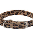 Cheetah Couture Crystal Rocks Collar