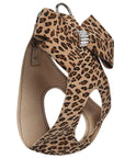 Cheetah Couture Nouveau Bow Step In Harness