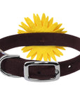 Sunflower 1/2" Collar