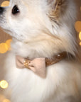 Gold Puparoxy Champagne Glitzerati Bow Tie 1/2" Collar