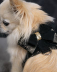 Black Glitzerati Double Nouveau Bow Tinkie Harness with Black Glitzerati Trim