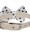 Polka Dot Nouveau Bow Collar
